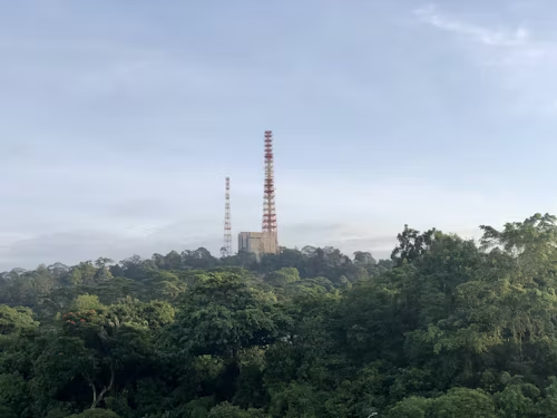 A Journey to Singapore - Bukit Timah Nature Reserve