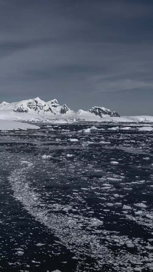Antarctica and the Arctic - Wild tourism