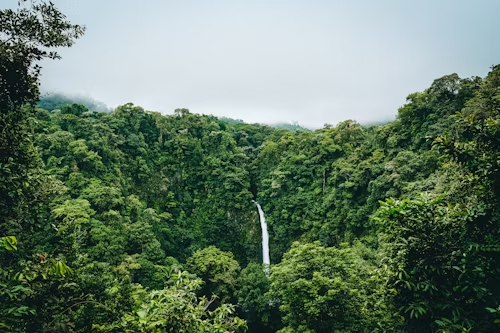Wildlife Tourism - Costa Rica Rain Forests